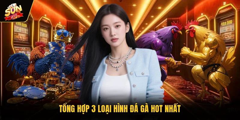 Tổng hợp 3 loại hình đá gà hot nhất